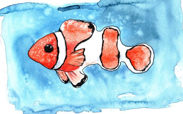 在大海的深蓝色背景下的小丑鱼的水彩画图片下载