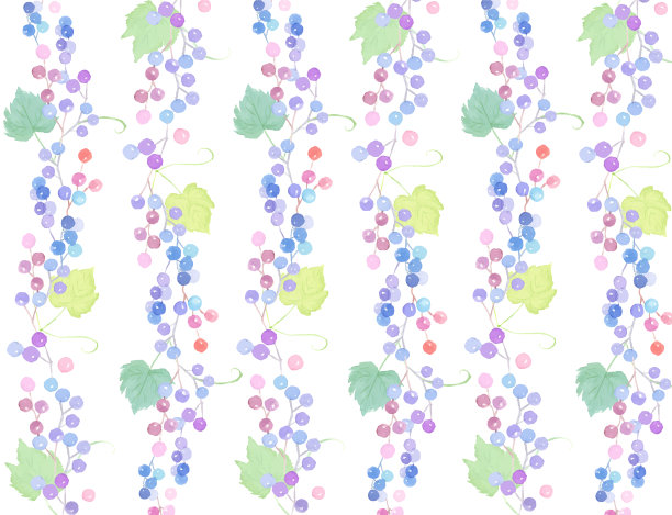 葡萄图案的水彩画插图。图片下载