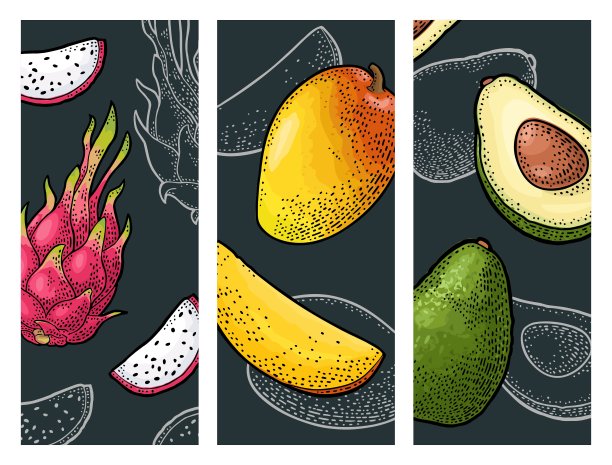 放置热带水果。矢量彩色和单色复古雕刻图片下载