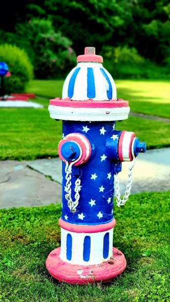 美国的消防栓图片下载