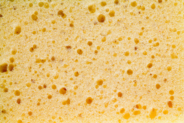 黄色的海绵图片下载