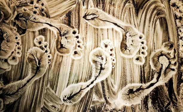 一行由真土制成的肮脏的人类脚印。孤立在白色肮脏的背景上图片下载