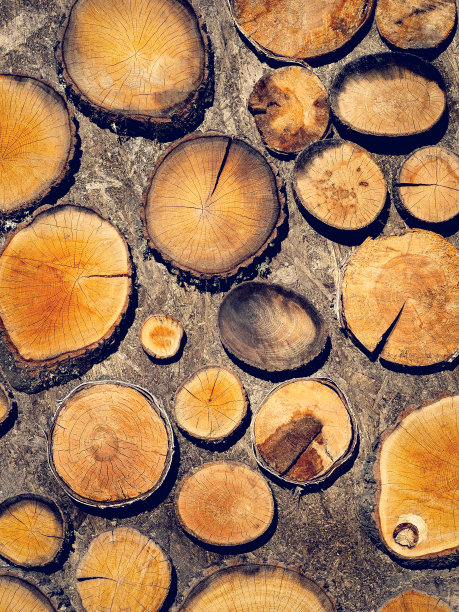 抽象的木质背景与树干，圆木条上的垂直格式。图片下载