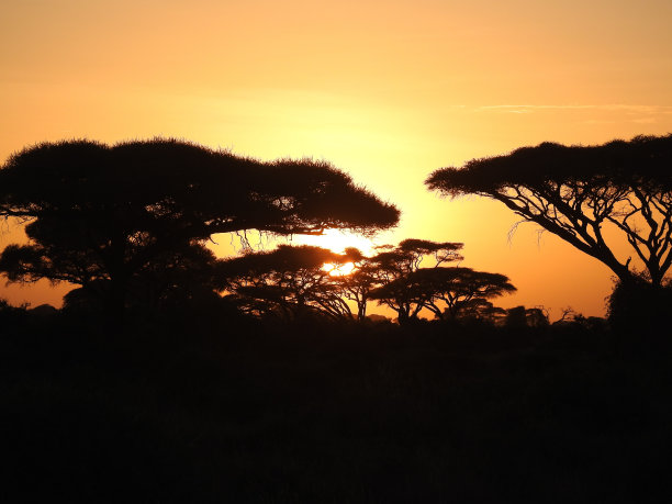 Safari日落图片下载