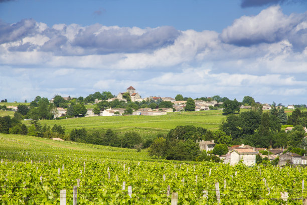 法国波尔多附近著名的圣爱美浓葡萄园。图片下载