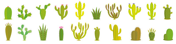 仙人掌集珍奇植物于一体图片下载
