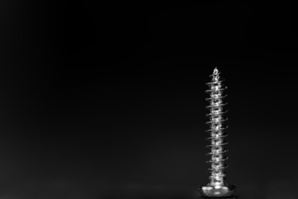 钢木螺丝立在它的头上图片下载