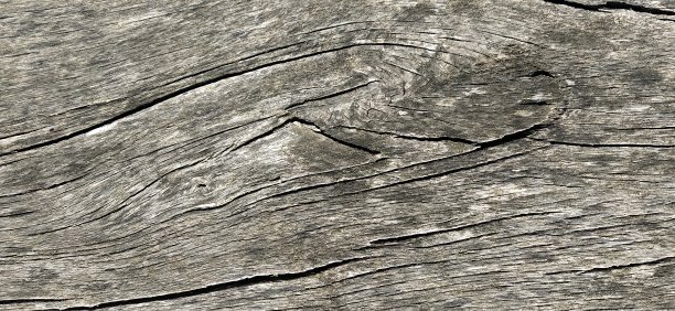 带有裂缝的旧灰色木质纹理。特写横幅图片下载