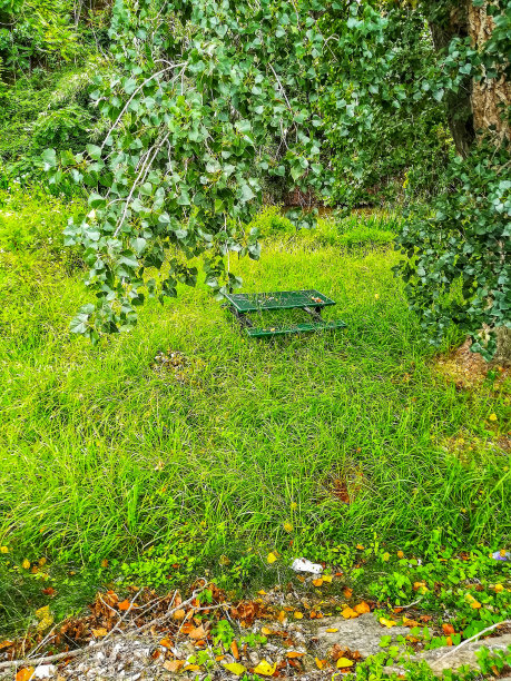 金属露营桌被帕兰西亚河岸边的高草吞噬图片下载