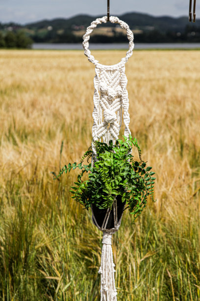 流苏花边图片下载