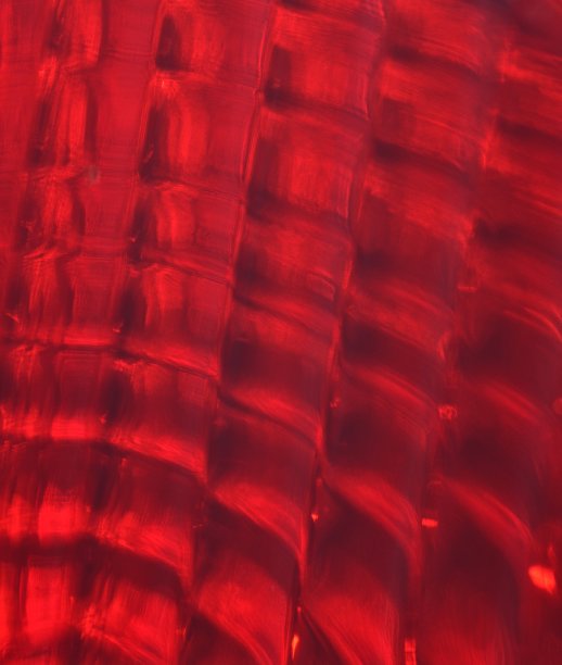 车车尾灯图片下载