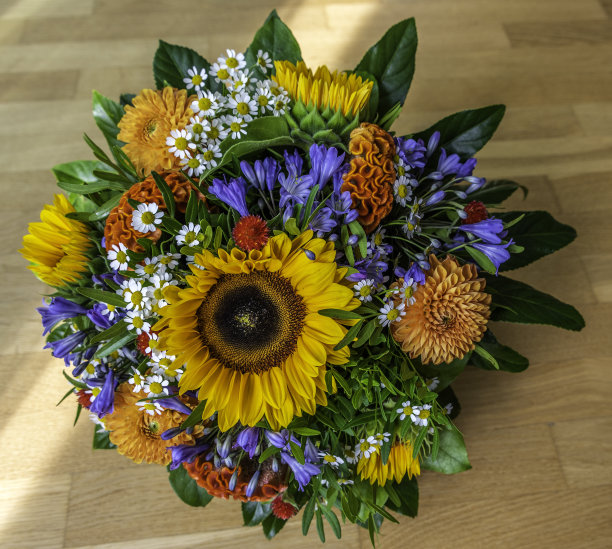 一束色彩鲜艳的花图片下载