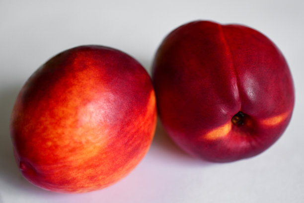 孤立，红水蜜桃，油桃图片下载