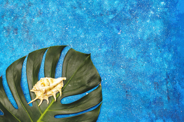 旅行和度假冠状病毒概念图片下载