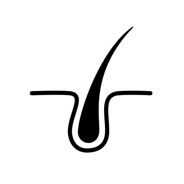 发根图标，毛球毛囊-股向量图片下载