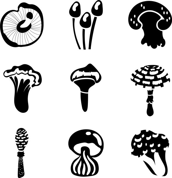 Bundle fungus set图标图片下载