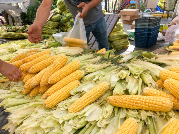 在露天市场买新鲜的生玉米图片下载