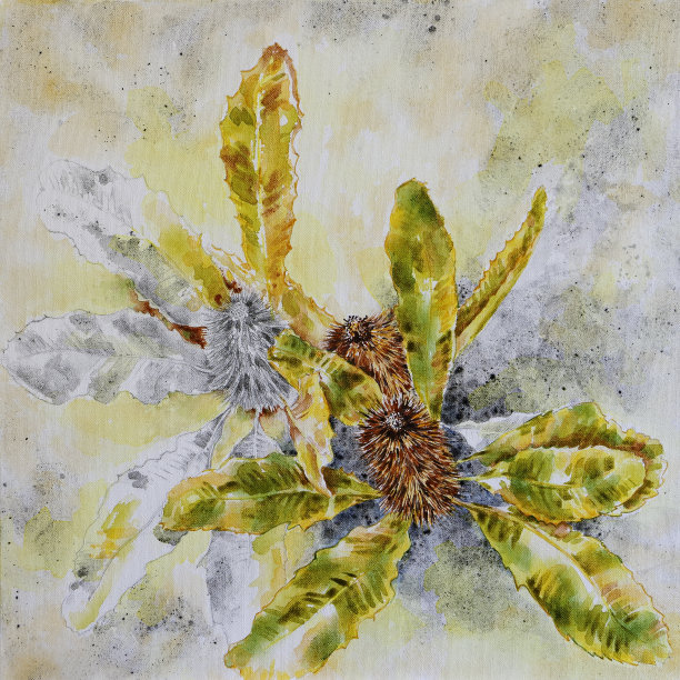 澳大利亚班克木花混合媒体绘画图片下载