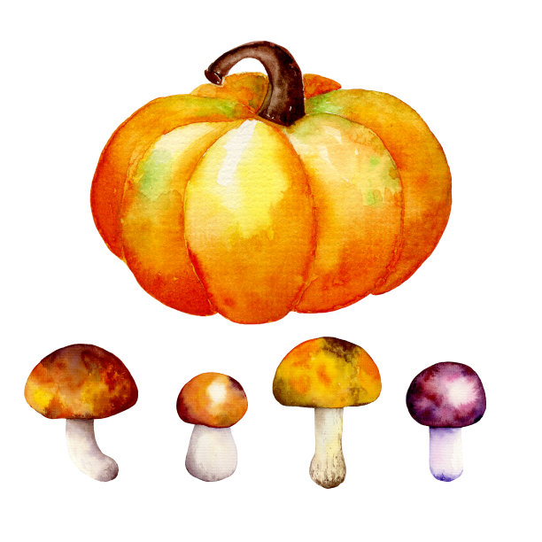 水彩秋置蘑菇和南瓜图片下载