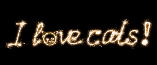 用模拟长时间曝光，黑色背景上有黄色的“我爱猫”字样。图片下载