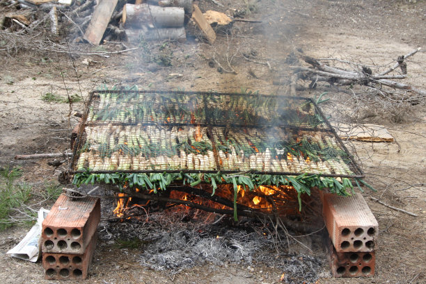 Calçots，典型的加泰罗尼亚甜洋葱，地板烧烤(calçotada)图片下载