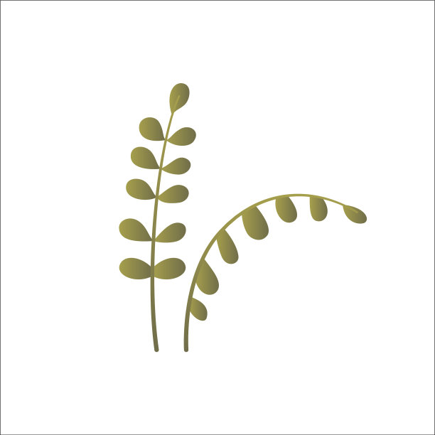 草甸植物孤立在白色背景上简单图片下载