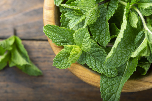 新鲜的绿色薄荷放在木桌上。图片下载