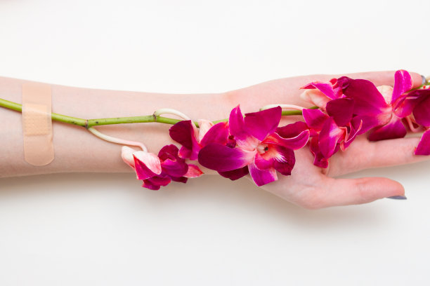 兰花枝用橡皮膏固定在女性手上。时尚艺术之花从温柔女人的手中绽放。图片下载