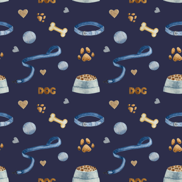 可爱，漂亮的巧克力色的小狗。特写镜头图片下载