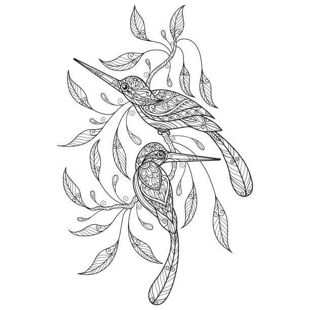 翠鸟纠结成人着色页，插图纠结风格。图片下载