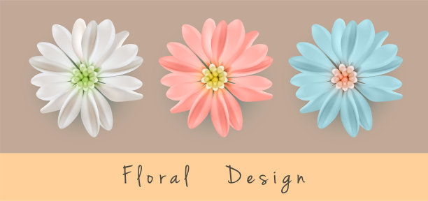 菊花的花花图片下载