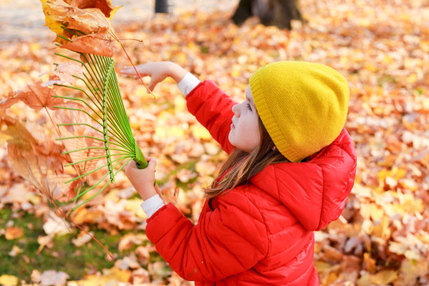 一个5-6岁的小女孩，穿着红色的夹克，在一个阳光明媚的秋天的一天，在后院耙一堆秋天的枫叶。帮助清理落叶。图片下载