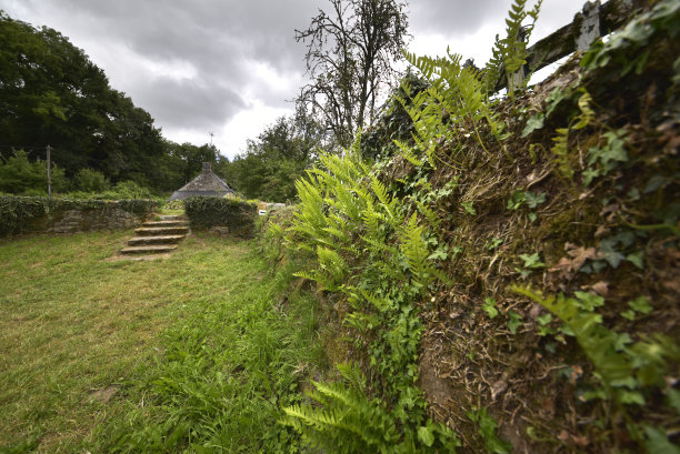 福厄教堂的自然和森林图片下载