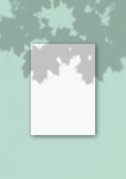 在浅绿色的墙壁背景上垂直的一张白色纹理A4纸。模型覆盖的植物阴影。自然光在外来植物上投下阴影图片下载