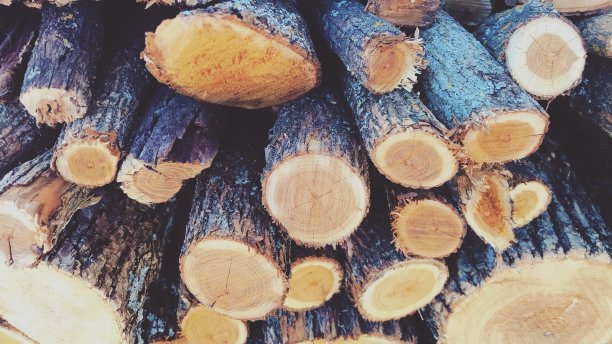 小堆原木图片下载