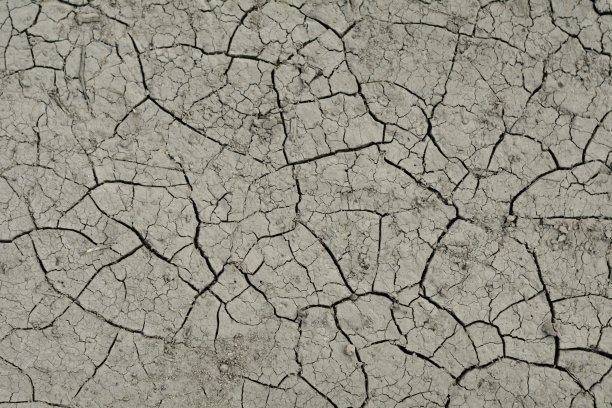 陆地上的小格子图片下载