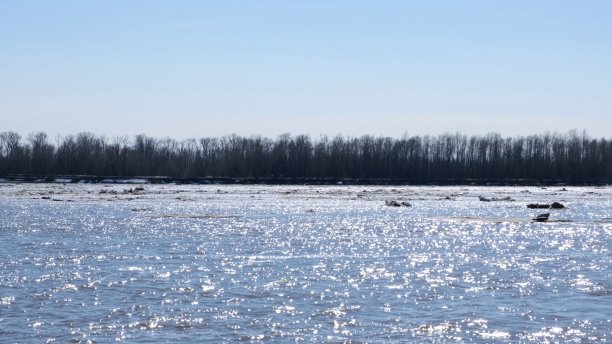 近距离观察漂浮在鄂毕河上的冰层图片下载
