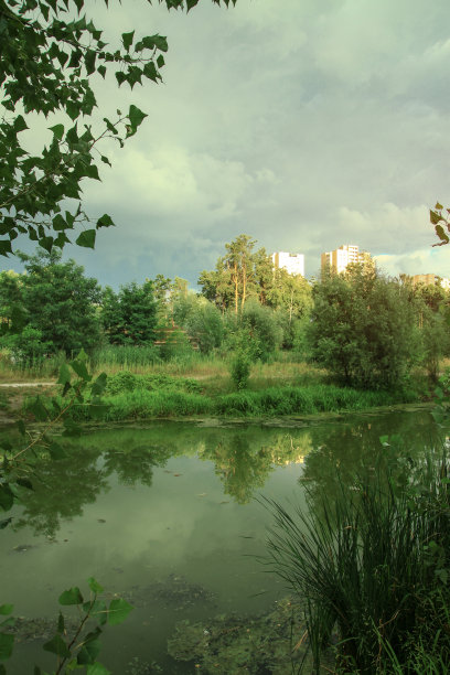 在公园的水边建房子。城市景观与美丽的森林和树木。库存图片背景。图片下载