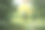在公园的水边建房子。城市景观与美丽的森林和树木。库存图片背景。图片下载