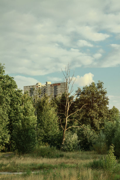 在公园的水边建房子。城市景观与美丽的森林和树木。库存图片背景。图片下载