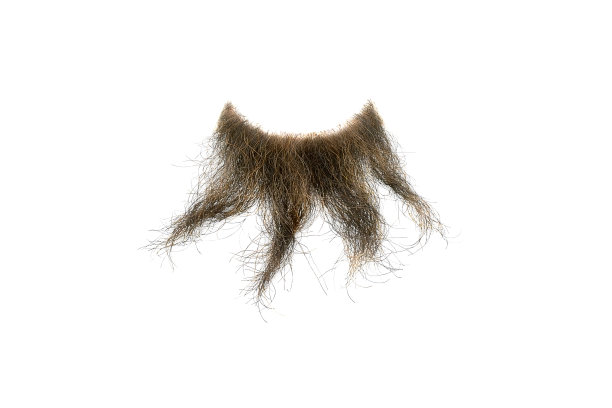 凌乱的棕色胡须孤立在白色上，特写。男人的时尚图片下载