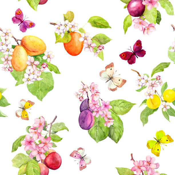 蝴蝶、夏天的水果和浆果——李子、樱桃、苹果的树枝上盛开着春天的花朵。水彩无缝模式图片下载