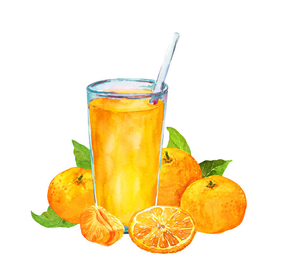 新鲜橙汁，水果和树叶，玻璃吸管。水彩画图片下载