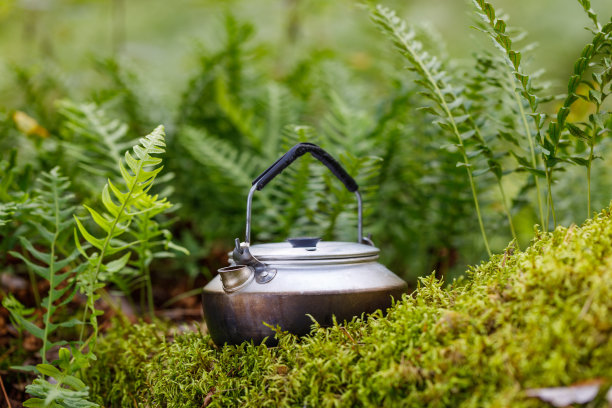 青苔上的水壶。图片下载