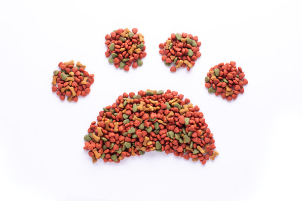 装满干狗粮的塑料碗。俯视图粮食宠物食品与复制空间的文字设计。图片下载