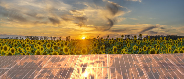 向日葵田背景上的光伏板图片下载
