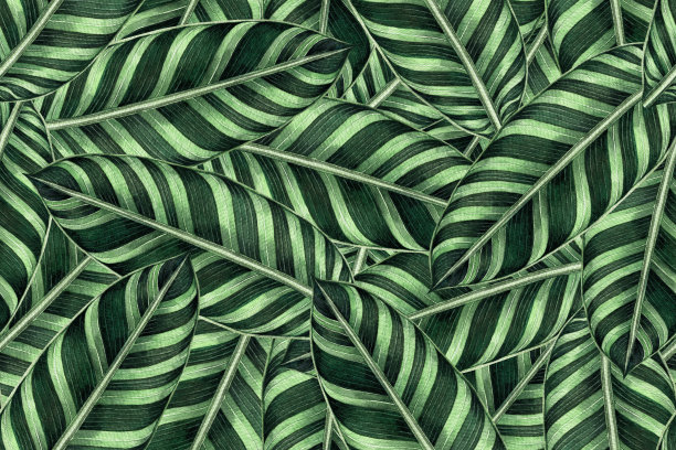 水彩画五彩缤纷的热带绿叶无缝图案背景。水彩手绘插图热带异国情调的叶子印花墙纸，纺织夏威夷阿罗哈夏季风格。图片下载