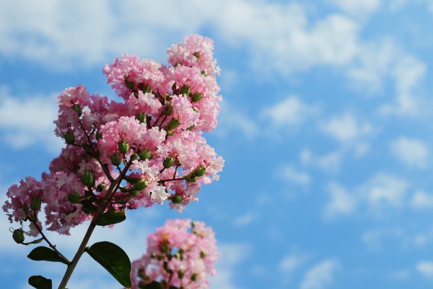 日本埼玉县的风景图片下载