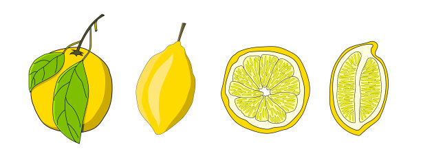 一套手绘柠檬。图片下载