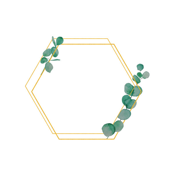 手绘现代贺卡上的白色横幅。水彩桉树金色框架印刷设计。花园的背景与绿色的树叶。图片下载